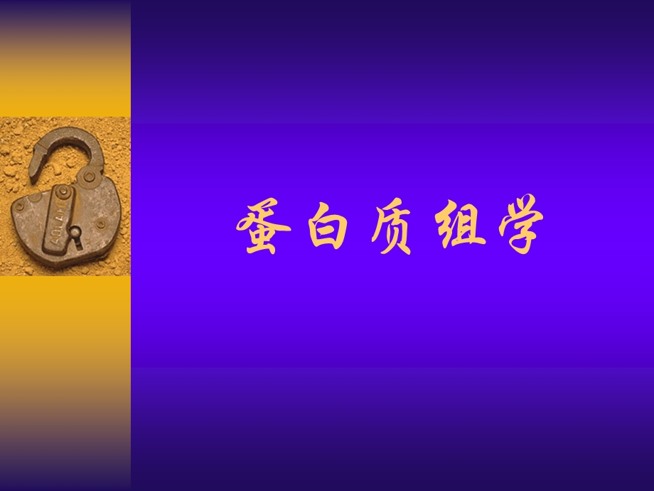 蛋白质组学.ppt_第1页