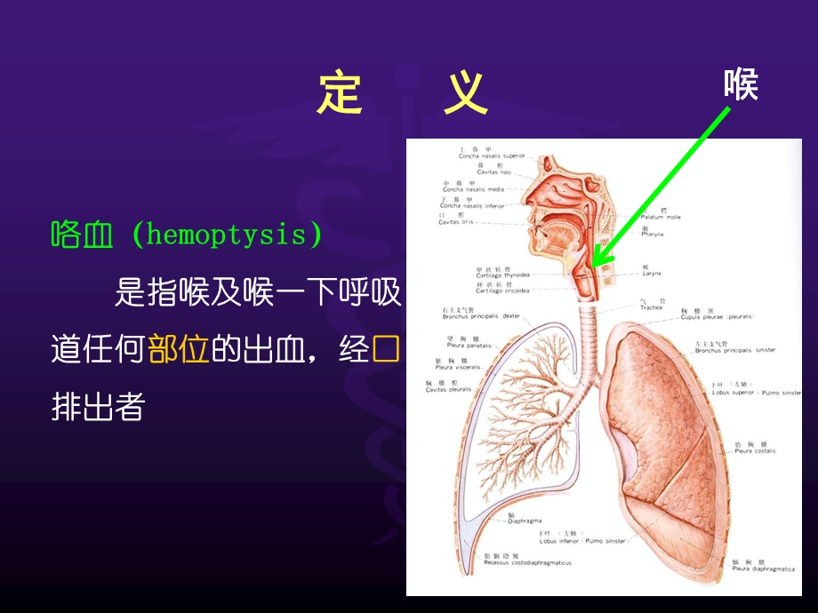 诊断学咯血.ppt_第2页