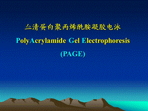 血清蛋白聚丙烯酰胺凝胶电泳.ppt