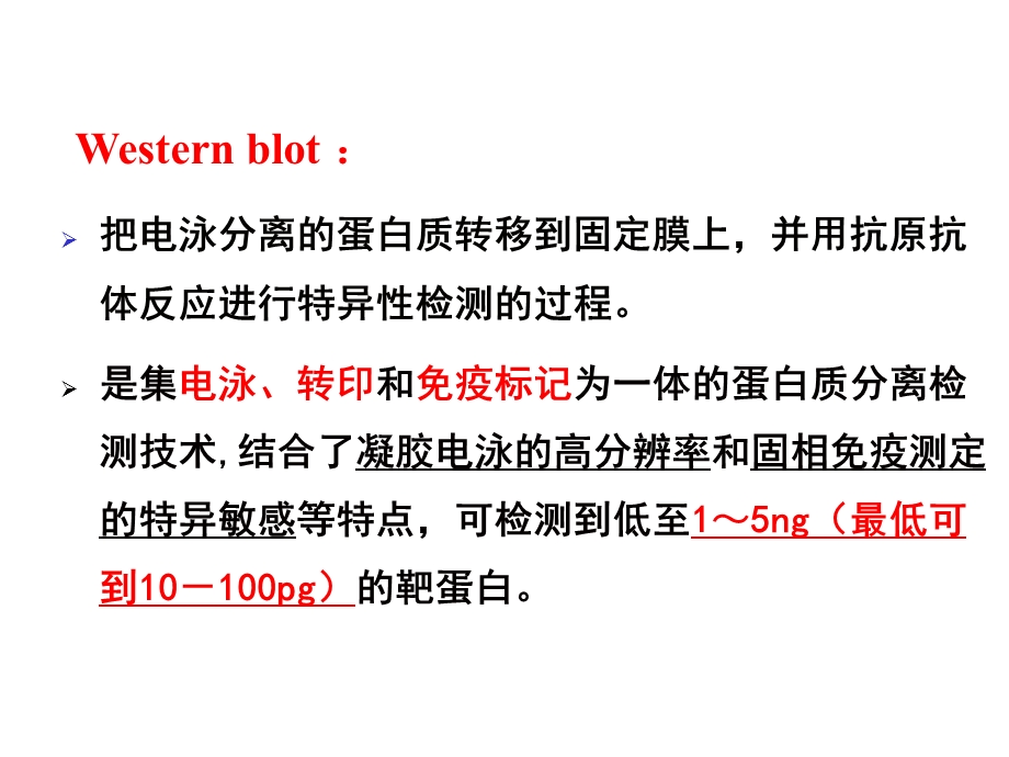 蛋白质印迹1129.ppt_第3页