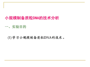 质粒DNA提取.ppt