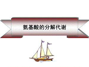 蛋白质降解和氨基酸分解代谢.ppt