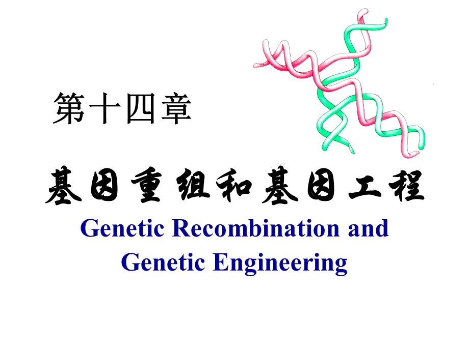 自然界的基因转移和重组.ppt_第1页