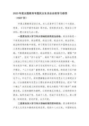 （会前）主题教育专题民主生活会会前学习感悟.docx