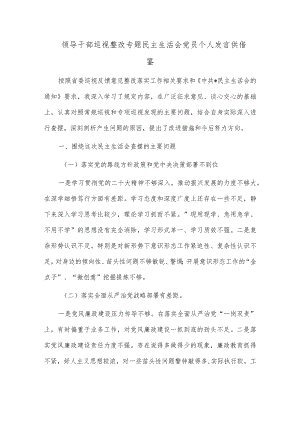 领导干部巡视整改专题民主生活会党员个人发言供借鉴.docx