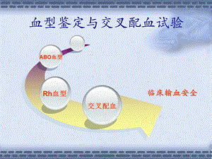 血型鉴定与交叉配血试验.ppt