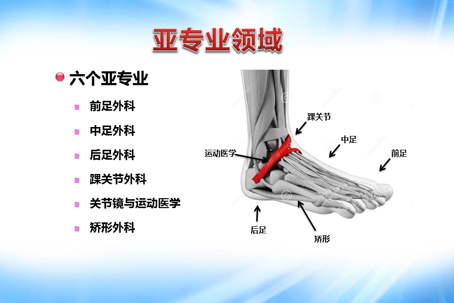 足踝外科热点与问题.ppt_第3页