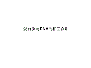 蛋白质与DNA的相互作用.ppt