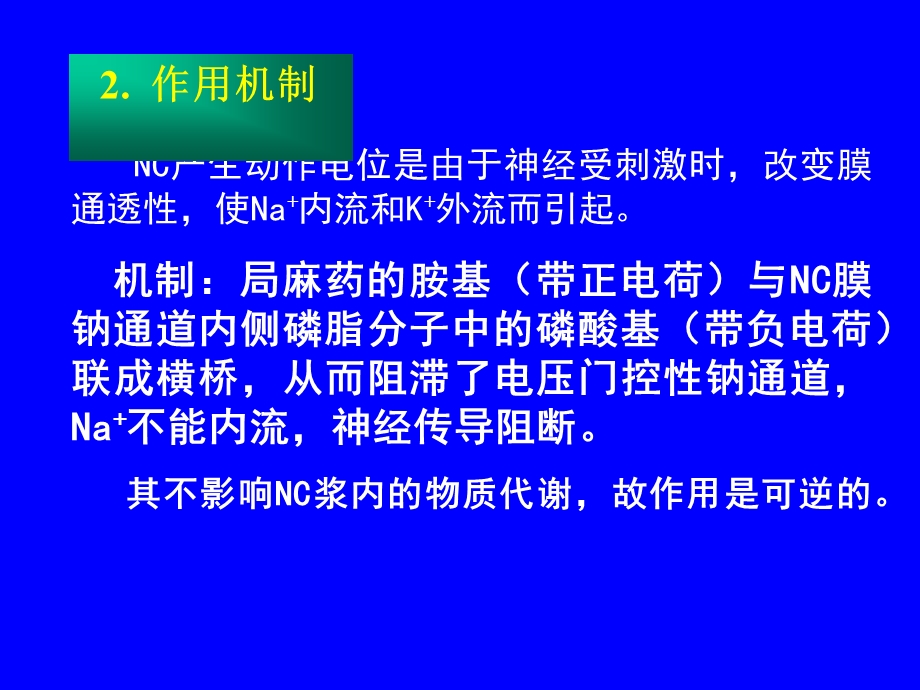 药理学课件第十章麻醉药.ppt_第3页