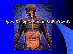 解剖生理学第八章消化系统的结构和功能.ppt