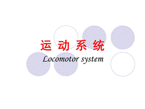 运动系统总论osteologyThebonesoftrunk.ppt