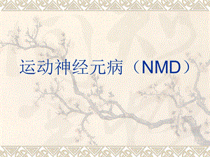 运动神经元病NMD.ppt