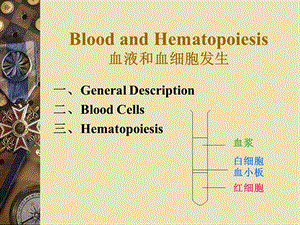 血液和血细胞发生.ppt