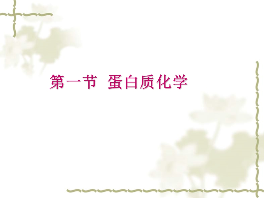 蛋白质的分解代谢.ppt_第2页