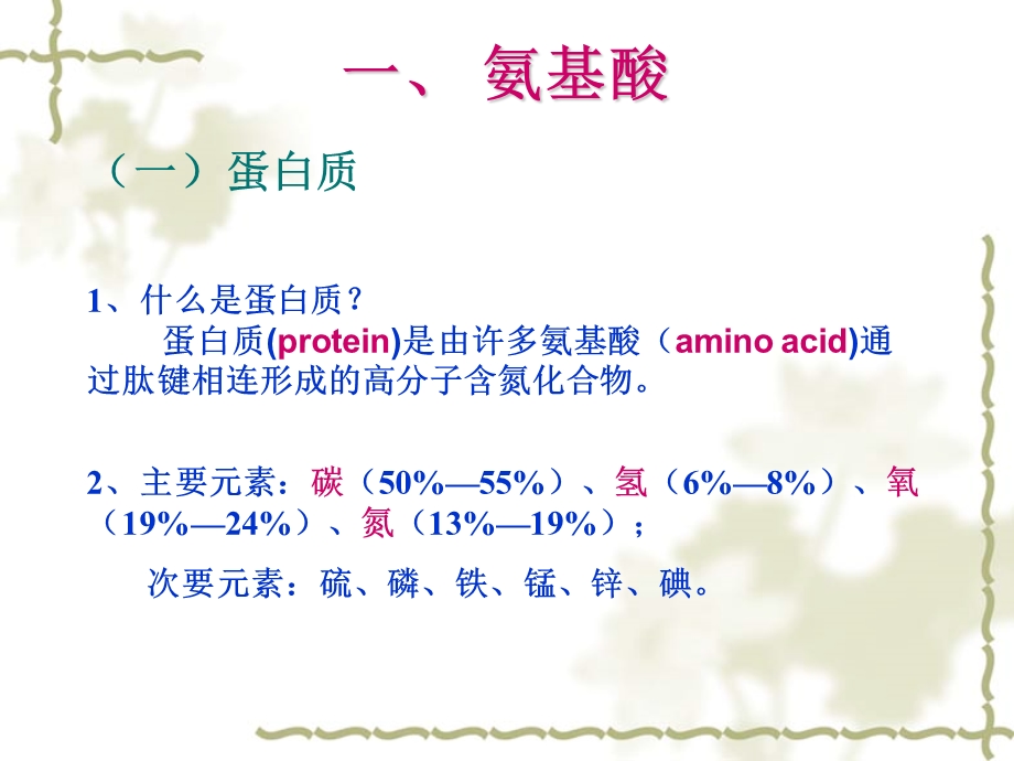 蛋白质的分解代谢.ppt_第3页