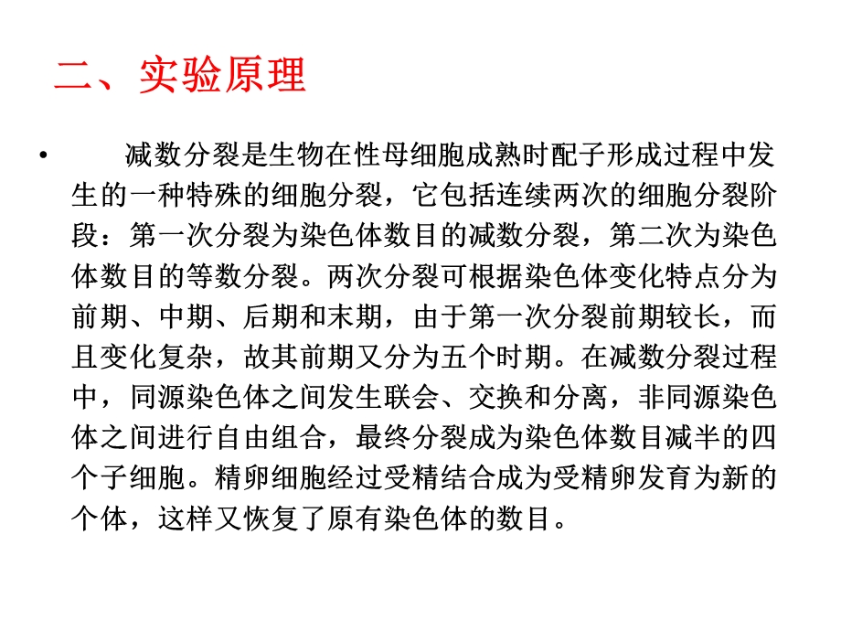 蝗虫精母细胞减数分裂制片及观察4学时.ppt_第2页