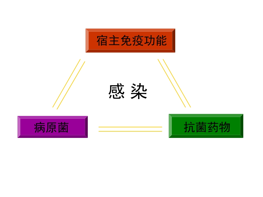 造血干细胞移植后的感染黄晓军.ppt_第2页