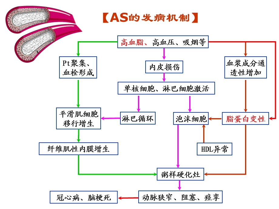 药理学李庆平11抗as药.ppt_第3页