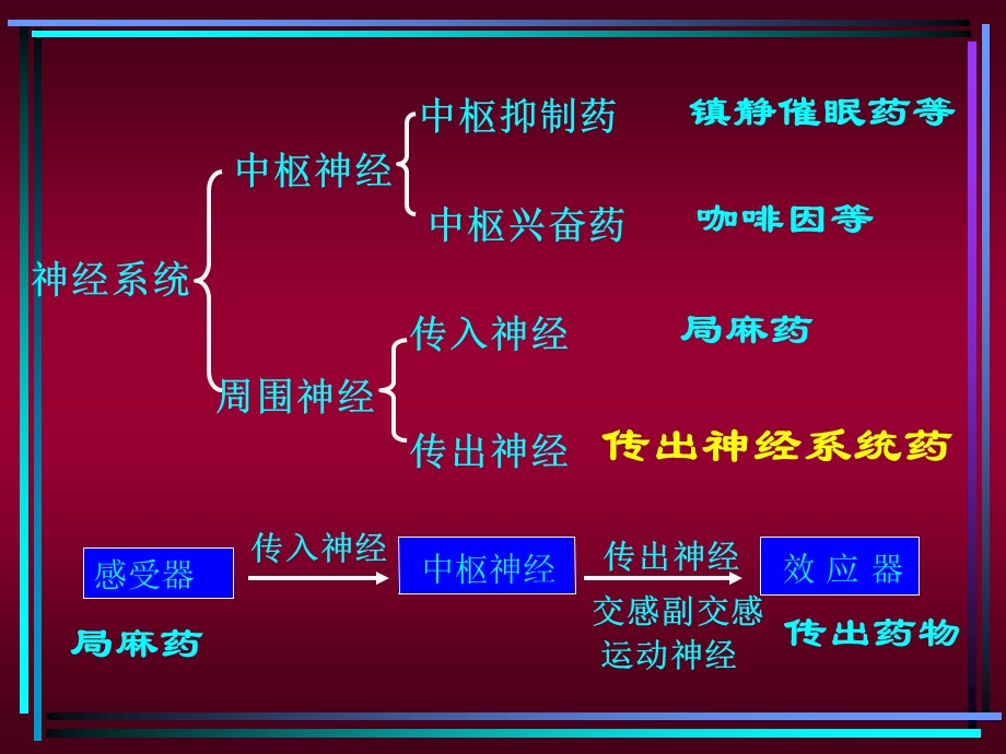 药理学课件传出神经系统1.ppt_第2页