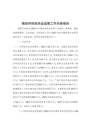 镇政府财政资金监管工作自查报告.docx