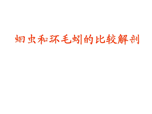 蛔虫和环毛蚯的比较解剖.ppt