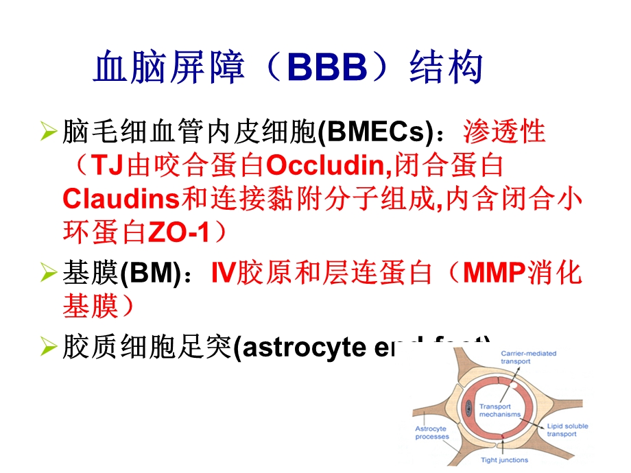 药物与脑屏障基础知识PPT课件.ppt_第3页