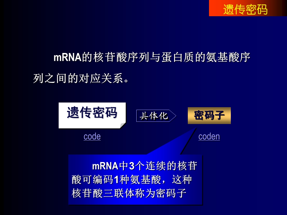 蛋白质合成体系.ppt_第3页