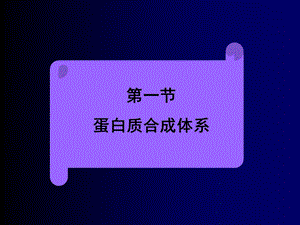 蛋白质合成体系.ppt