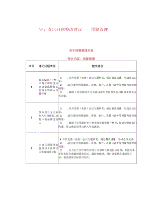 审计查出问题整改建议——预算管理.docx