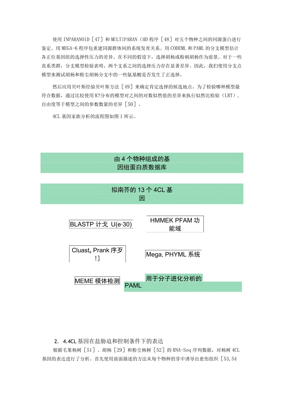 荒漠杨树4CL基因的鉴定及其对盐胁迫的表达变化.docx_第3页