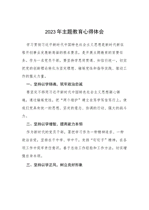 四篇领导干部关于2023年主题教育心得体会模板.docx