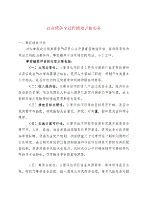 政府债务全过程绩效评价实务.docx