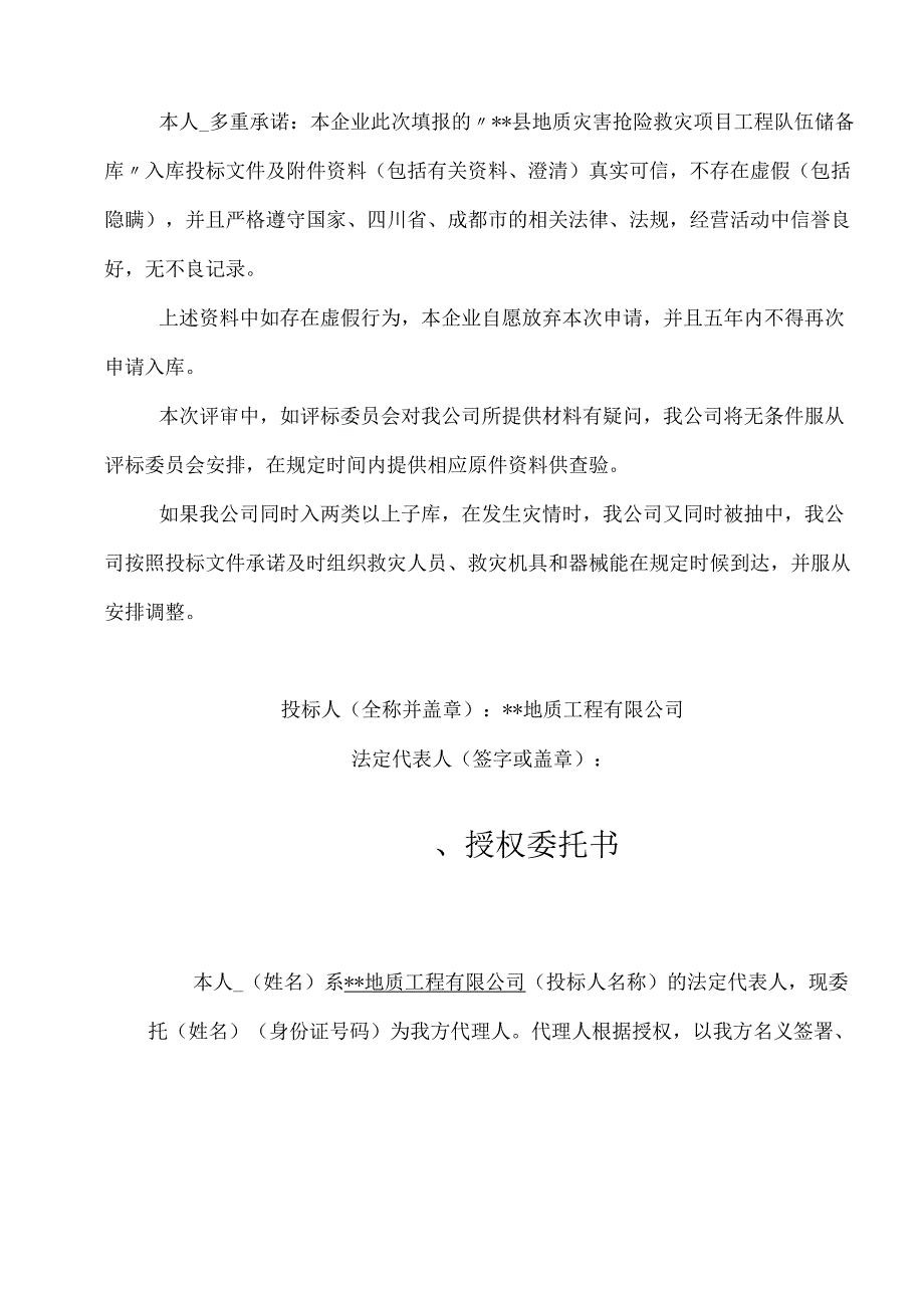 2020年地质灾害抢险救灾工程队伍储备库入库技术标.docx_第3页