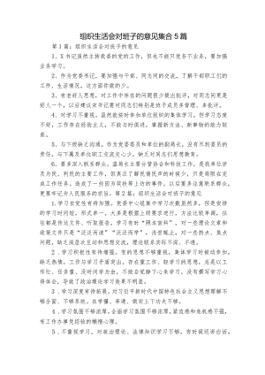 组织生活会对班子的意见集合5篇.docx