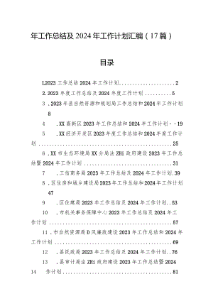 （17篇）2023年工作总结及2024年工作计划汇编.docx