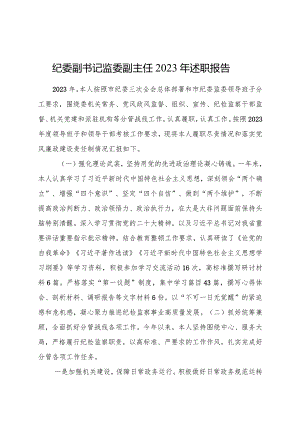 纪委副书记监委副主任2023年述职报告4400字.docx