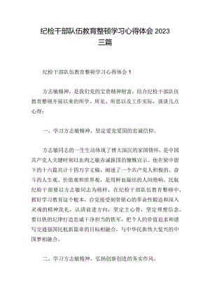 纪检干部队伍教育整顿学习心得体会2023三篇.docx