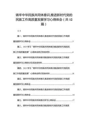 铸牢中华民族共同体意识,推进新时代党的民族工作高质量发展学习心得体会最新精选版【12篇】.docx