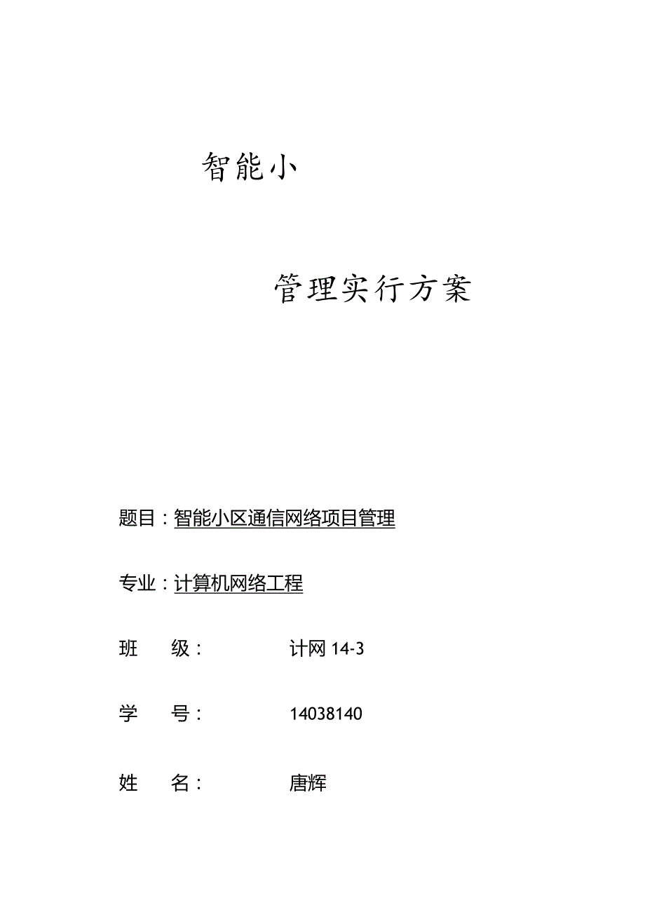 网络项目管理策略.docx_第1页