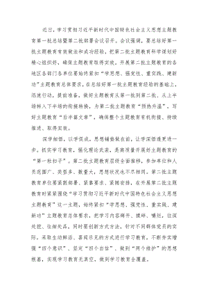 第二批研讨发言：承前启后 写好主题教育“后半篇文章”范文两篇.docx