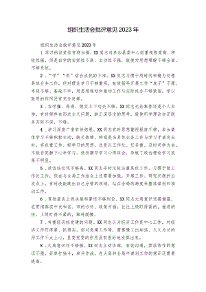 组织生活会批评意见2023年.docx