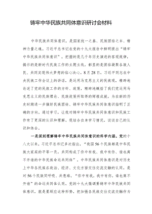 筑牢中华民族共同体意识研讨会材料.docx