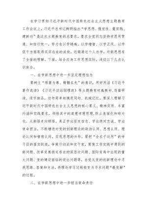 第二批主题教育理论学习专题研讨会发言提纲范文两篇.docx