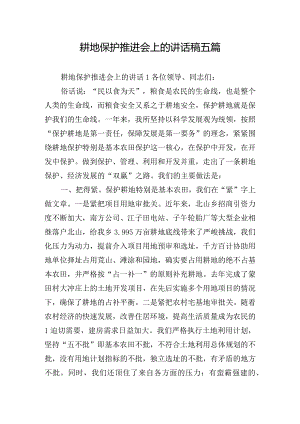 耕地保护推进会上的讲话稿五篇.docx