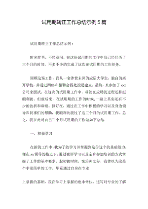 试用期转正工作总结示例5篇.docx