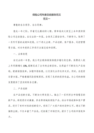 保险公司年度总结报告范文.docx