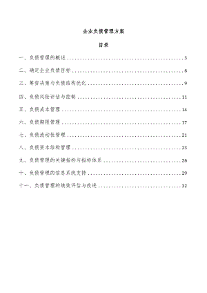 企业负债管理方案.docx