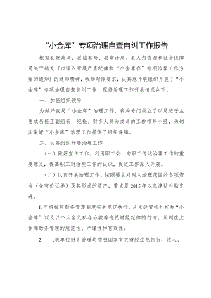 20XX年小金库专项治理自查自纠工作报告 .docx