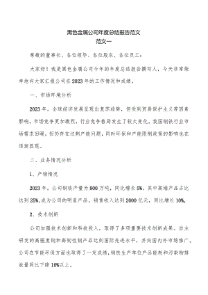 黑色金属公司年度总结报告范文.docx