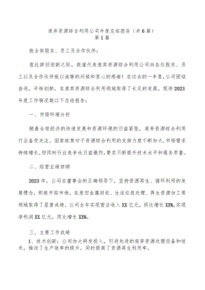 废弃资源综合利用公司年度总结报告（共6篇）.docx